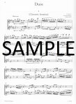 Selected Flute Duos (score form)