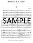 Serenade in d Minor Op44