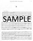 Serenade in d Minor Op44