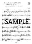 Serenade Op41 in D major (ed. Fabbriciani)