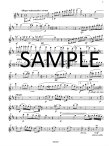 Serenade Op41 in D major (ed. Fabbriciani)