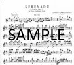 Serenade (PARTS ONLY)