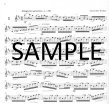 Seven Modern Flute Studies