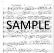Seven Modern Flute Studies