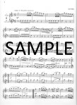 Seventy-eight Duets (v.1)