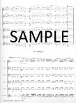 Sextet for Flutes