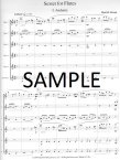 Sextet for Flutes