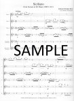 Siciliano from Sonata in Eb, BWV1031