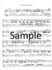 Sieben Divertimenti (score form)