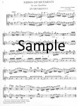Sieben Divertimenti (score form)