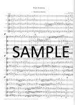 Simple Symphony Op4