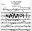 Sinfonetta Op75 (Diverimento Flautistico)  (Parts Only)