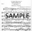 Sinfonetta Op75 (Diverimento Flautistico)  (Parts Only)