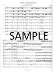 Sinfonia from Cantata #29  "Wir Danken Dir, Gott"