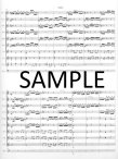 Sinfonia from Cantata #29  "Wir Danken Dir, Gott"