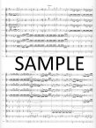 Sinfonia from Cantata #29  "Wir Danken Dir, Gott"