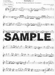 Six Sonatas Op16 (v.1) (D,G,C)