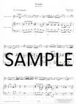 Six Sonatas(Op2(v.2)(4-6)(ed.Ruf)