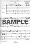 Six Trio Sonatas (v.2) (BWV527-528)