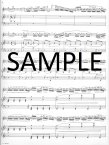 Solo de Concert Op82 (6th)(ed.Moyse,M)