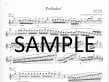 Solo Flute, The (Book 3)- Romantic