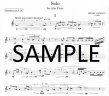 Solo for Alto Flute