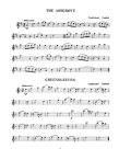 Solo Pieces for the Beginning Flutist (audio access, downloadable flute part)