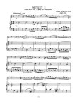 Solo Pieces for the Beginning Flutist (audio access, downloadable flute part)