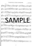 Solos for Flute 3-Irish Melodies