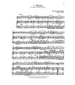 Solos for the Flute Player