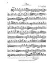 Solos for the Flute Player