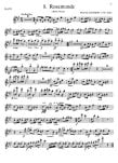 Solos for the Flute Player