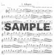 Solos for the Flute Player (with online audio access)