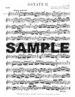 Sonata #2 in Eb (BWV1031)