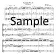 Sonata #3 for Flute Trio