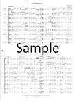 Sonata for Flutes