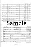Sonata for Flutes