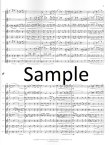 Sonata for Flutes