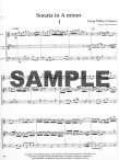 Sonata in a minor
