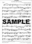 Sonata in b (BWV1030)