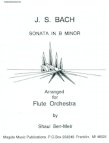 Sonata in b minor BWV 1030