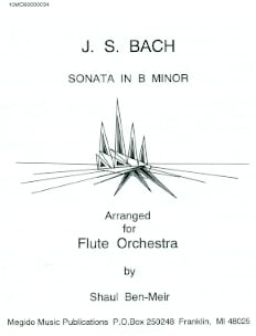Sonata in b minor BWV 1030