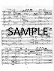 Sonata in b minor BWV 1030