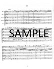 Sonata in b minor BWV 1030