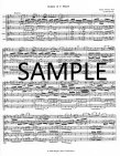 Sonata in b minor BWV 1030