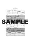 Sonata in C Major (1st Movement)