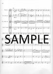 Sonata in C Major BWV 1033