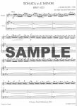 Sonata in e minor