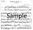 Sonata in e (score form)