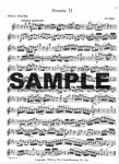 Sonata in Eb (BWV1031)